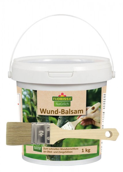 SparSet Wund-Balsam 1 kg mit GRATIS Pinsel